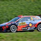 T-Neuville-2019