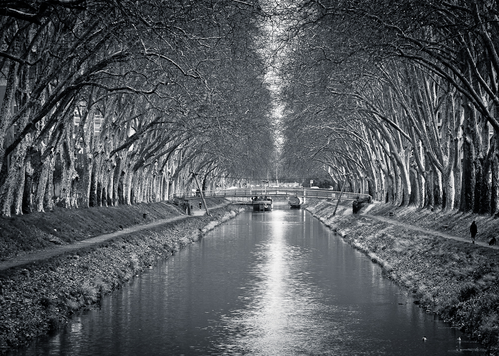 [ T o u l o u s e ] Canal du Midi