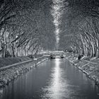 [ T o u l o u s e ] Canal du Midi