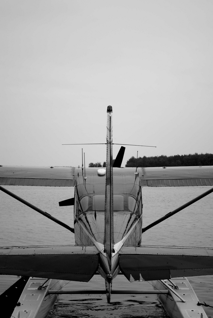 T-Plane at Lake Hood