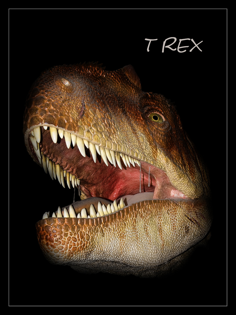 T REX