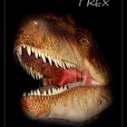 T REX