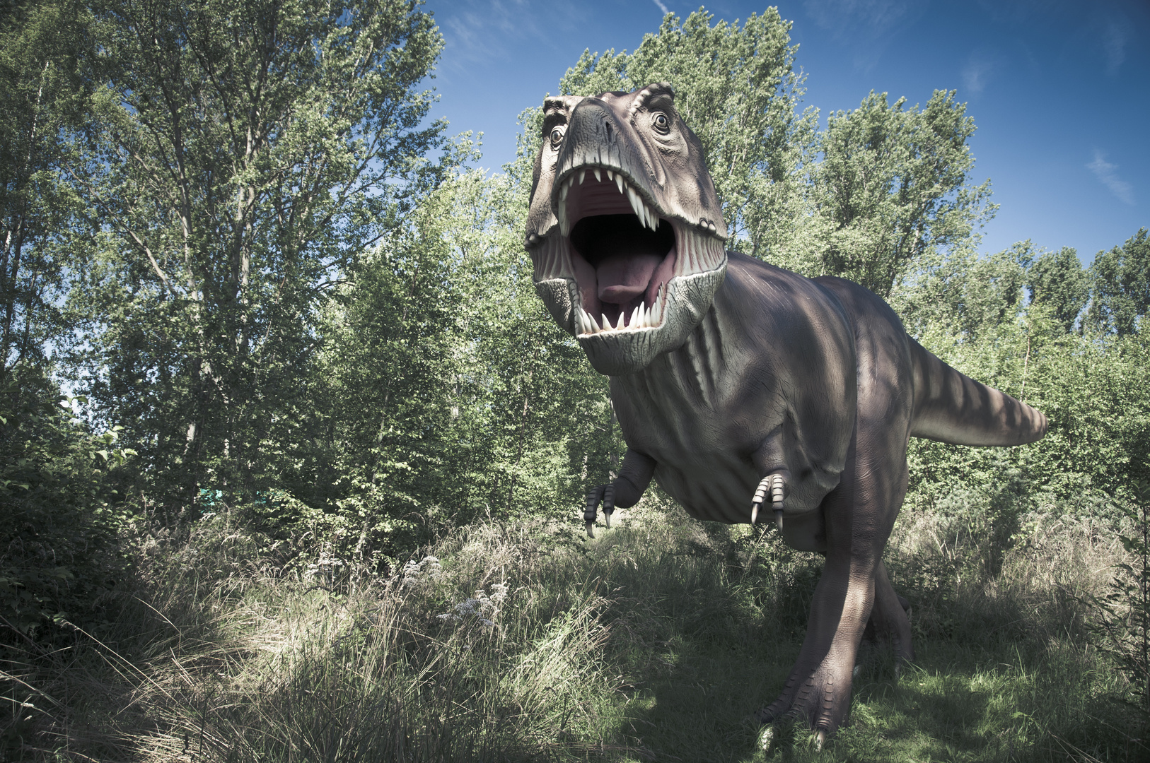 T. rex auf Rügen