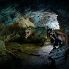 T-Rex besucht Steinzeitfrau in ihrer Wohnhöhle