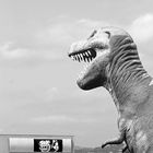 T-Rex in Manacor