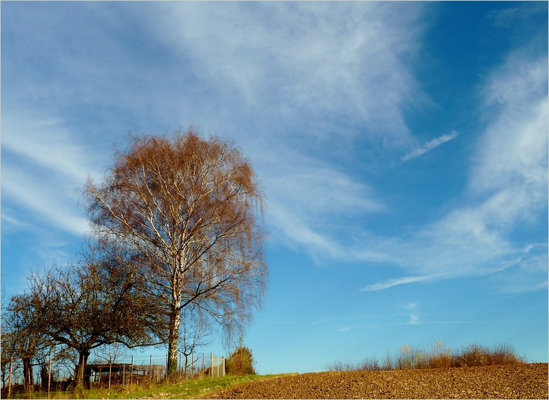 T-Shirt Wetter