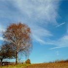 T-Shirt Wetter