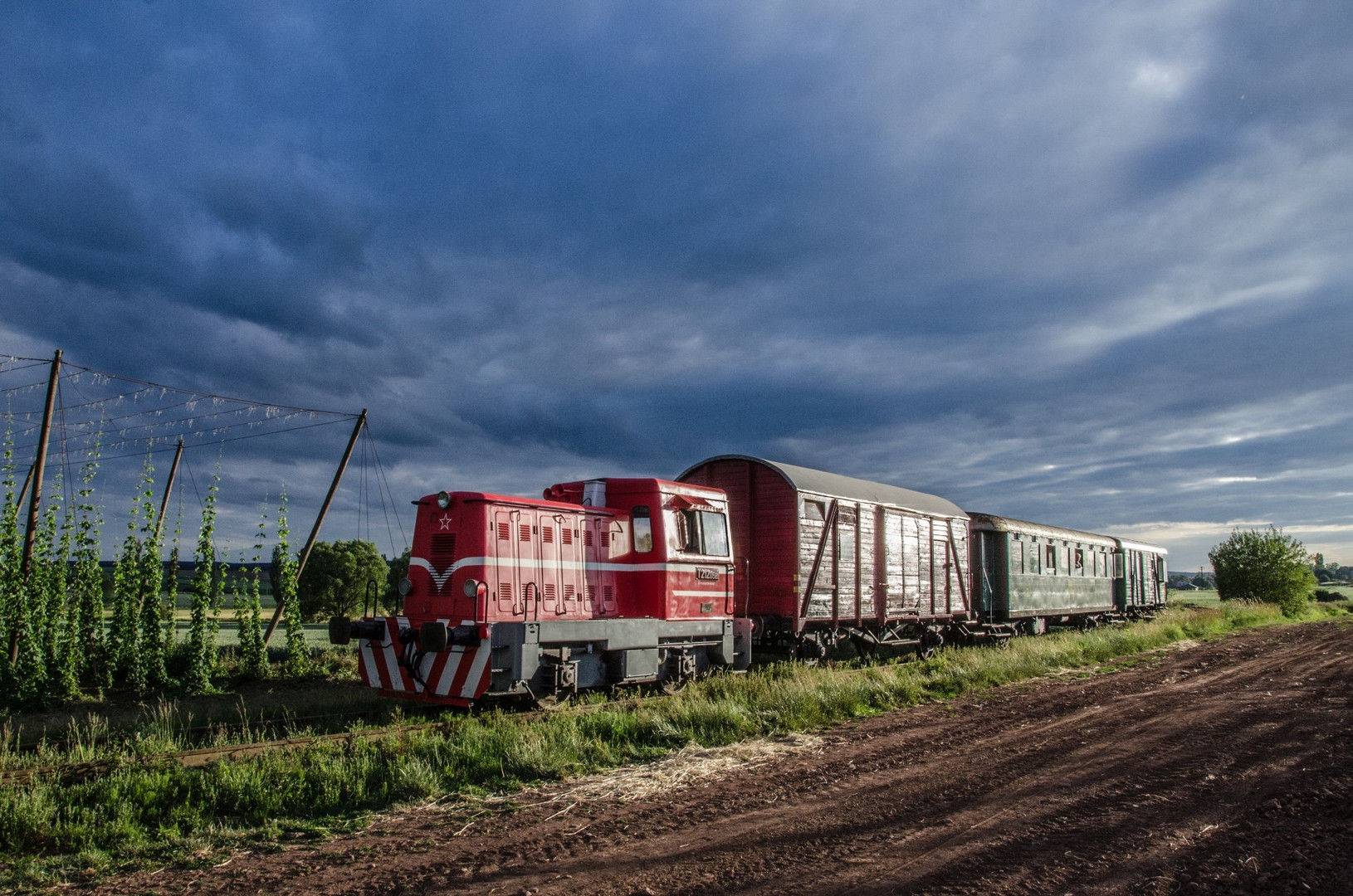 T212 0582 im Streiflicht vor einem Hopfenfeld bei Chráštany (CZ)