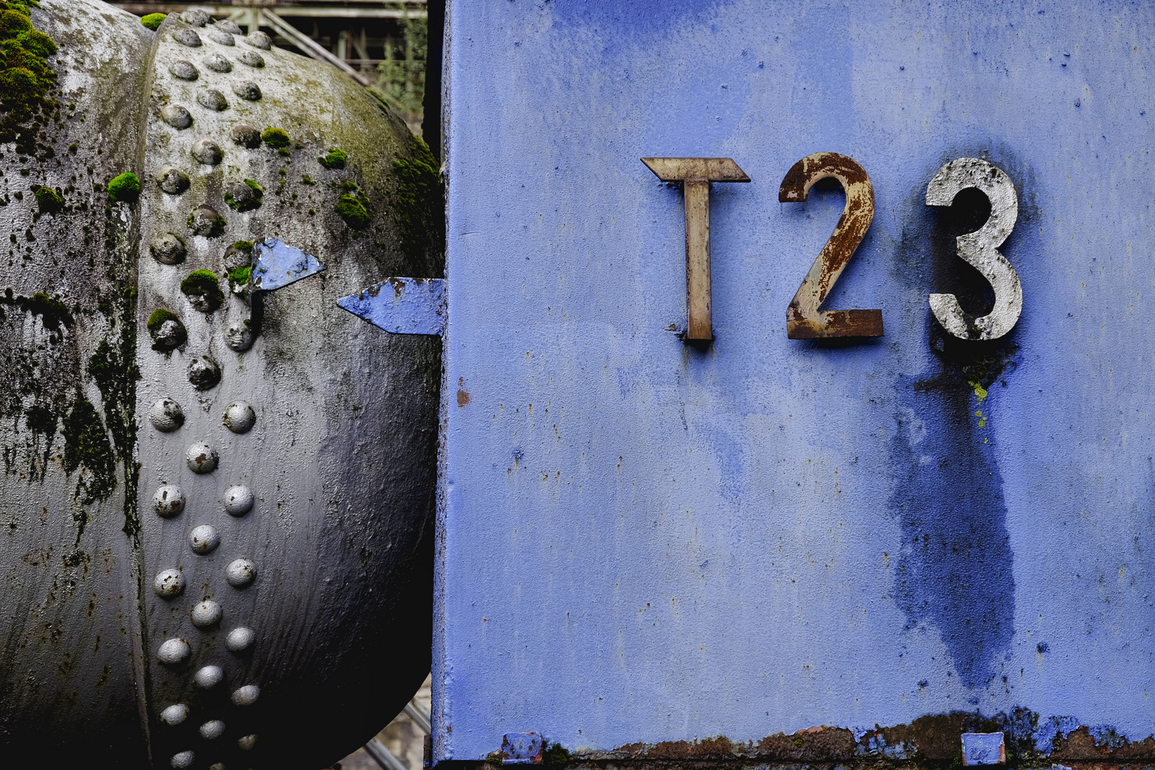 T23 in blau