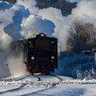 T3 930 auf der Rückfahrt nach Münsingen