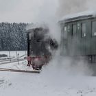 T3 in voller Fahrt kurz vor Münsingen