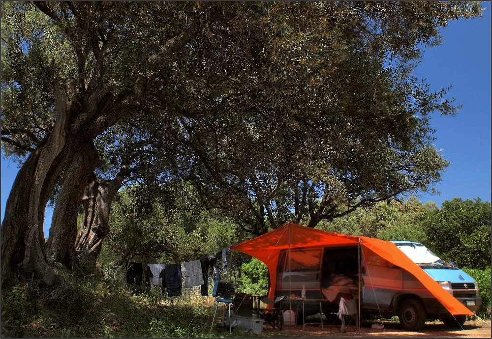 T4 - CAMPING en CORSE I