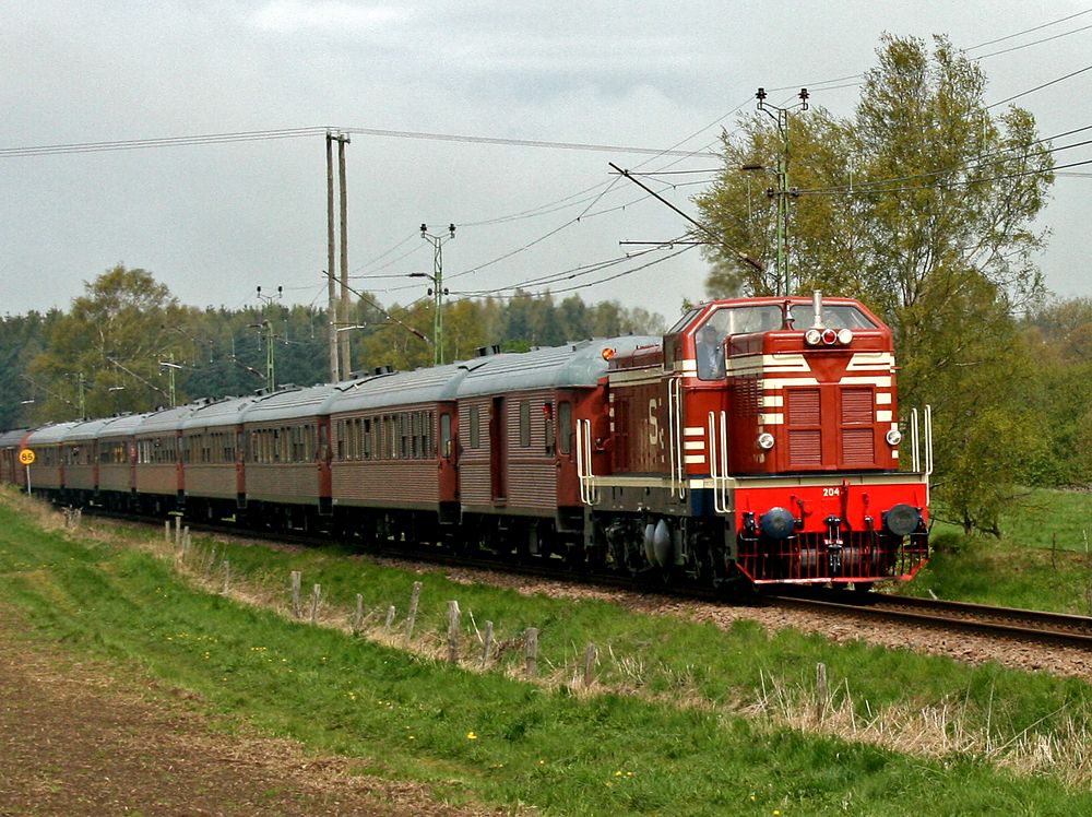 T41 204 mit Sonderzug über der Hallandsås