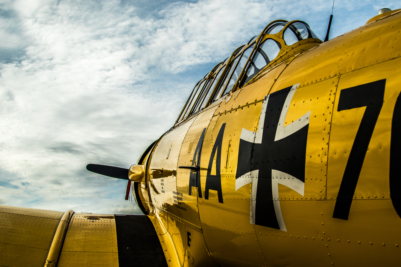 T6 Texan