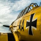 T6 Texan