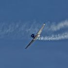 T6 Texan D-FUKK