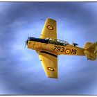 T6 Texan el entrenador