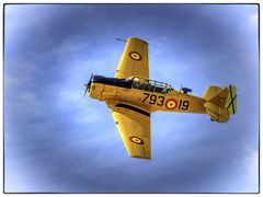 T6 Texan el entrenador