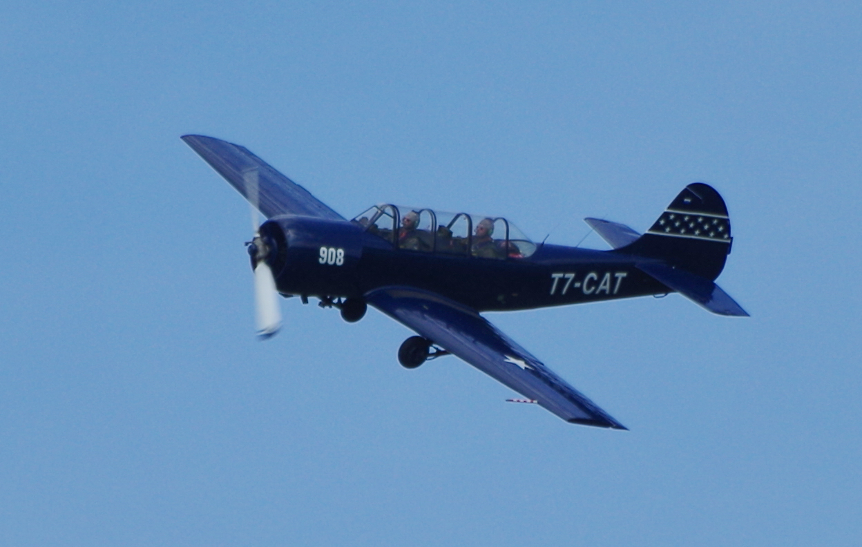 T7-CAT  YAK-52