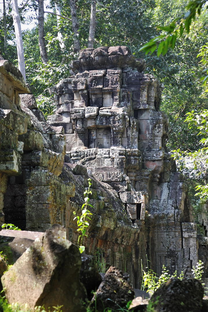 Ta Nei 04 - temple in the jungle