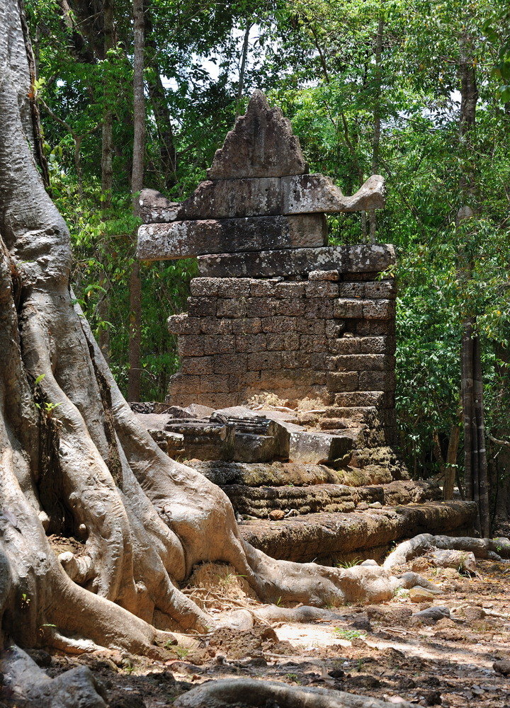 Ta Nei Temple 01