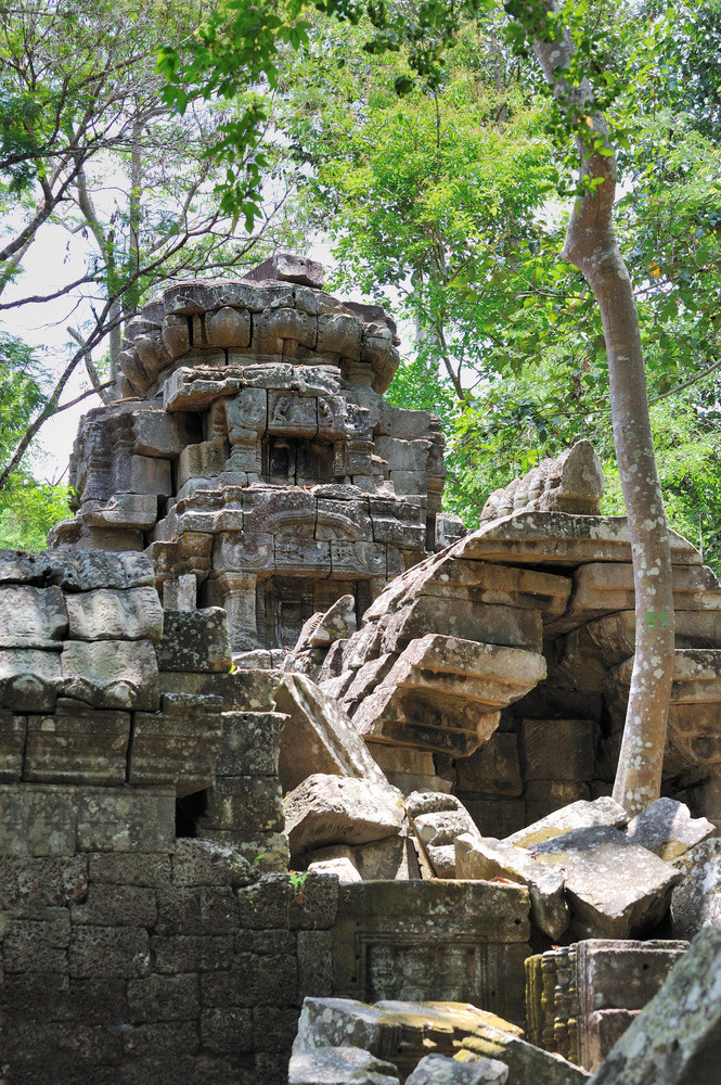 Ta Nei Temple 05