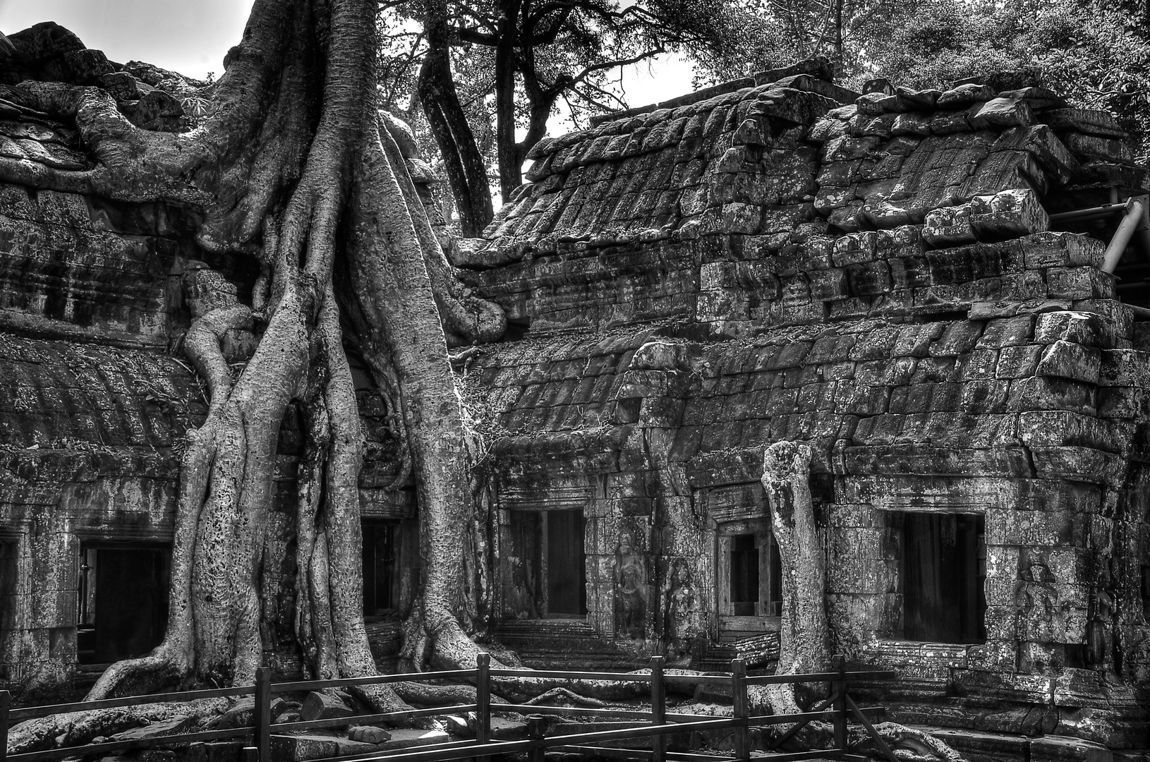 Ta Phrom 4