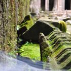 Ta Phrom