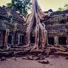 Ta Phrom