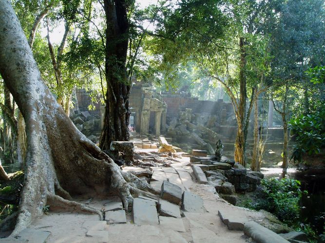 Ta Phrom am frühen Morgen