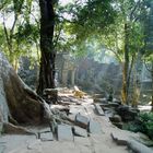 Ta Phrom am frühen Morgen