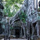 Ta Phrom