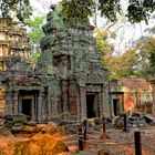 Ta Phrom, Cambodia