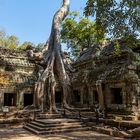 ta phrom (cambodia)