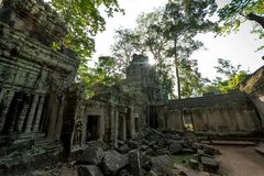 Ta Phrom Tempel