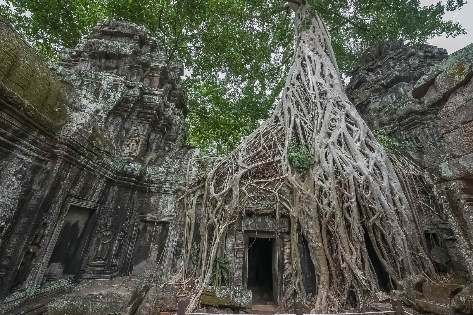 Ta Phrom Tempel Kambodscha