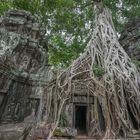 Ta Phrom Tempel Kambodscha