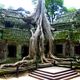 Ta Phrom,Angkor Wat
