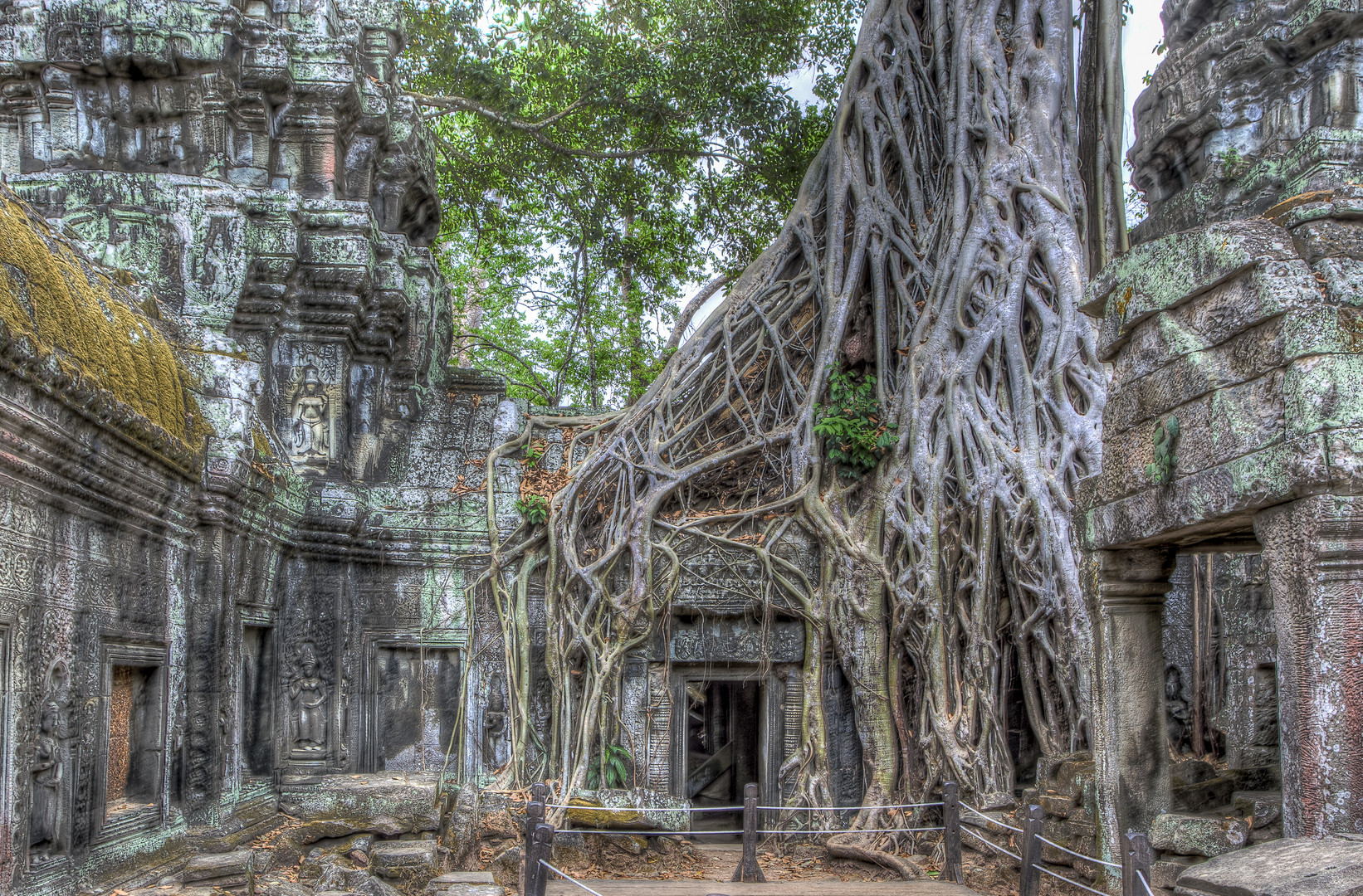 Ta Prohm