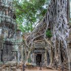 Ta Prohm