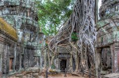 Ta Prohm