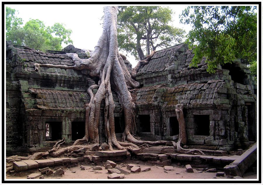 Ta Prohm