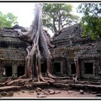 Ta Prohm