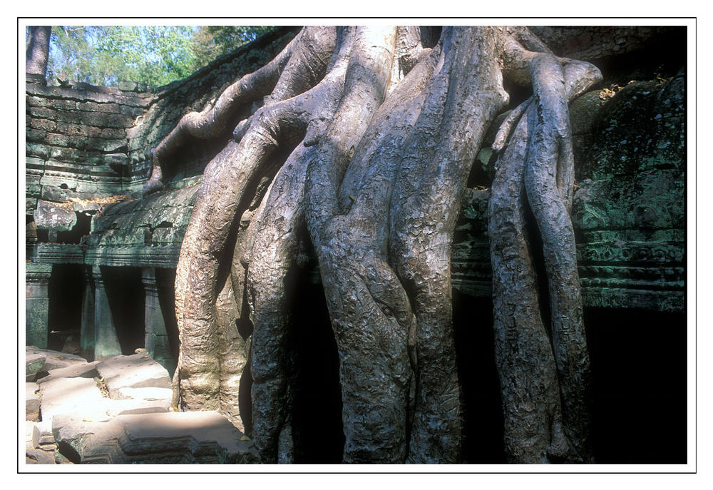 Ta Prohm