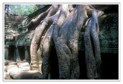 Ta Prohm