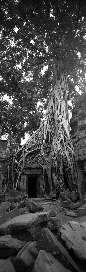 Ta Prohm 1