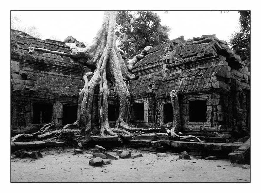 Ta Prohm