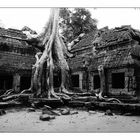 Ta Prohm