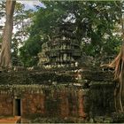 Ta Prohm 2