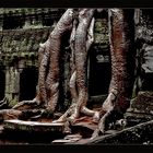 Ta Prohm 2......